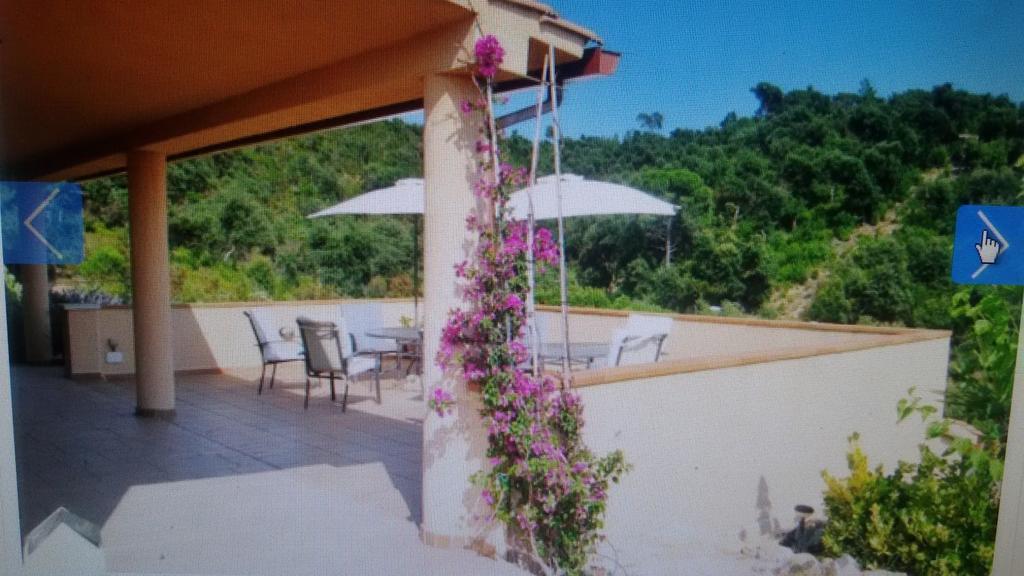 יורט דה מאר Holiday Home Cardona מראה חיצוני תמונה